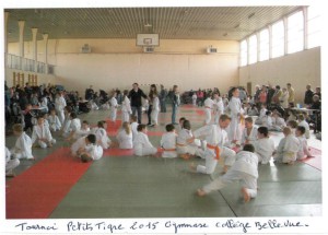 Tournoi Petits tigre 2015